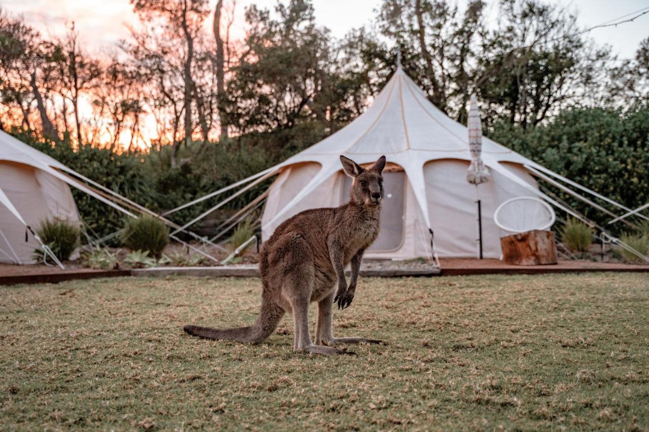 The Cove Jervis Bay Vila Exterior foto